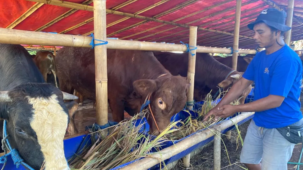 Pemkot Jaksel ingatkan pedagang hewan kurban tak jualan di taman dan trotoar