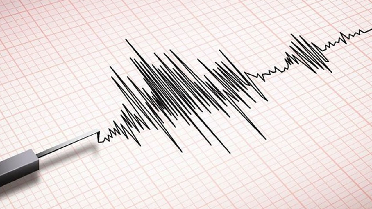 Gempa M 6,5 Guncang Nabire Papua Tengah, BMKG Pastikan Tak Berpotensi Tsunami