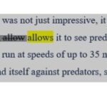 Here’s the number-1 stock in my ISA and SIPP